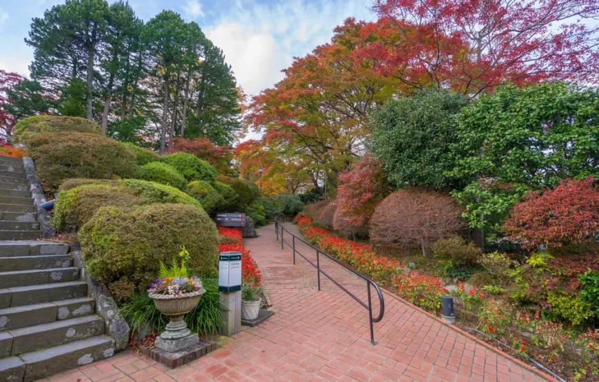 Essential Japan and Hakone end Hiroshima