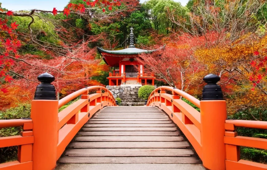 Essential Japan and Hakone end Hiroshima