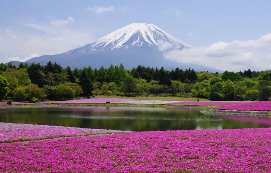 Essential Japan and Hakone end Hiroshima