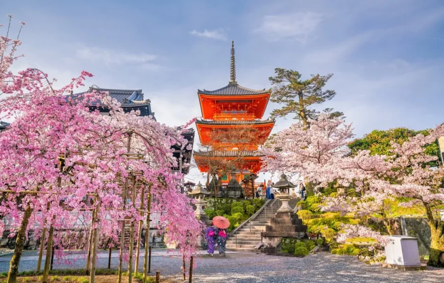 Essential Japan and Hakone end Hiroshima