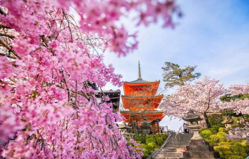 Essential Japan and Hakone end Hiroshima