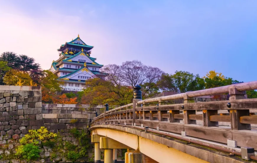 Essential Japan and Hakone end Tokyo