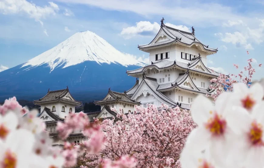 Essential Japan and Hakone end Tokyo