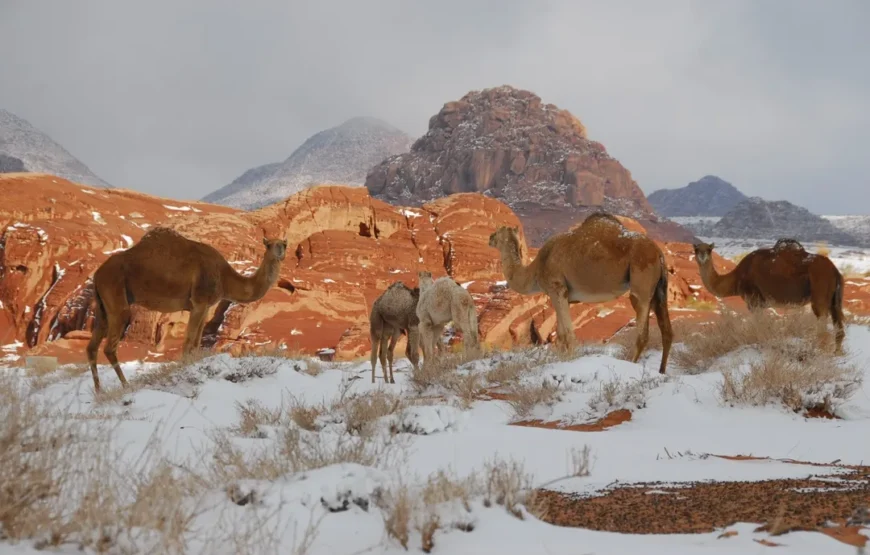 Beauties of Arabia with Jordan, Sinai and Cairo